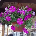 Semana Guest house Vrata