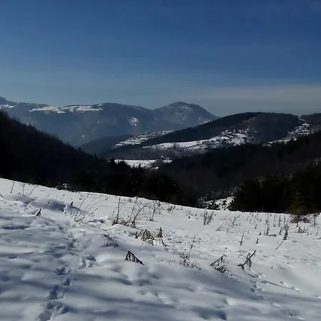 Semana 3* Vrata