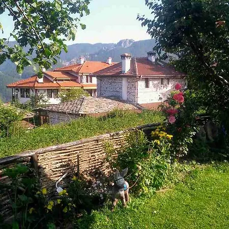 Semana 3* Vrata